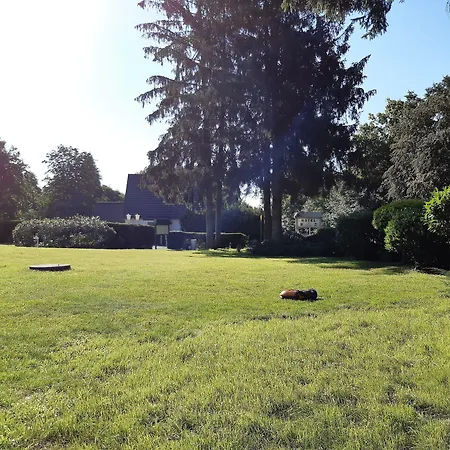 Steinhägerquelle Steinhagen (North Rhine-Westphalia)